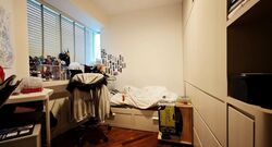 tanamera-crest photo thumbnail #9